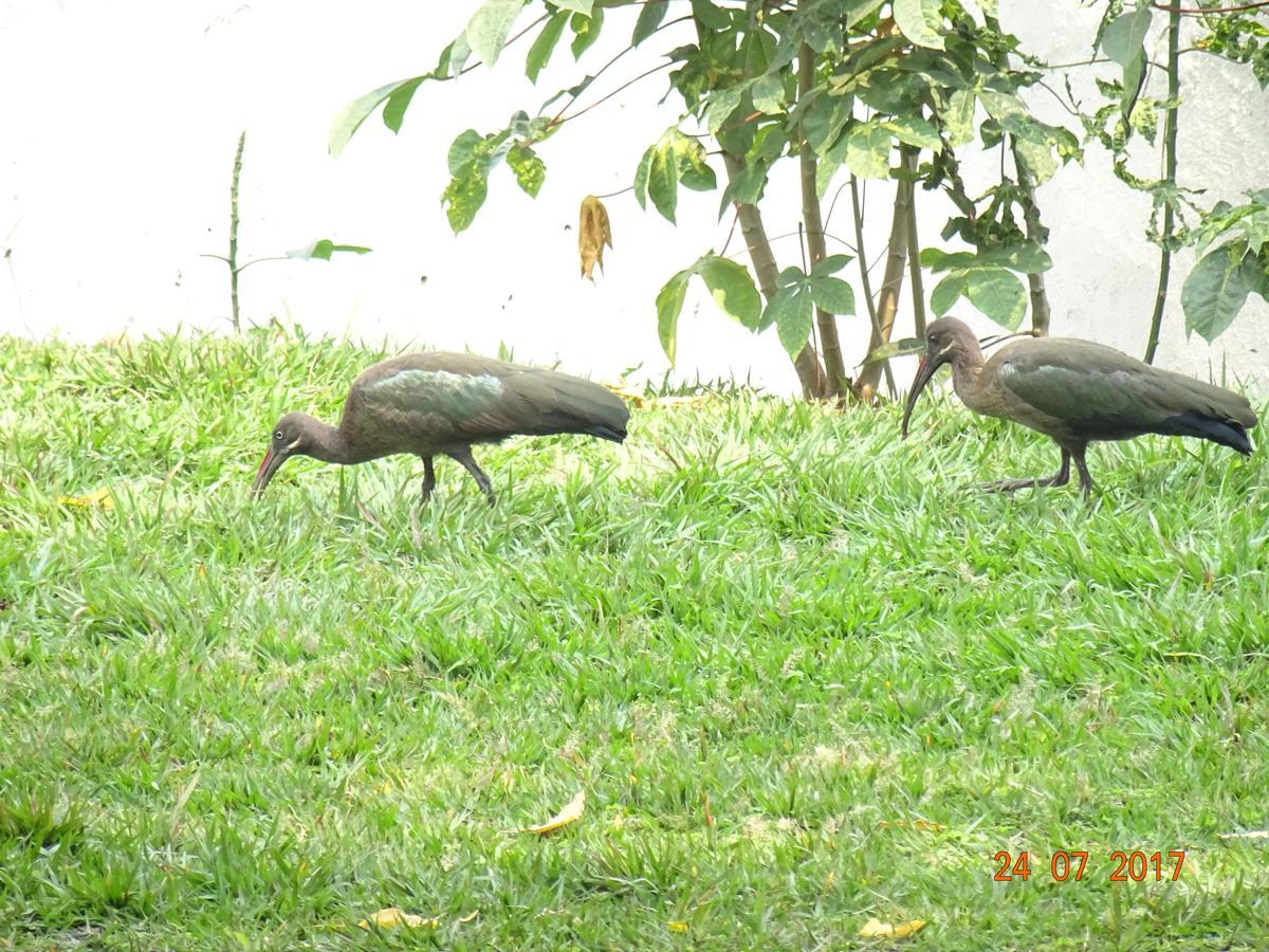 Kivu Beach Garden Жизени Екстериор снимка
